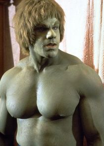 Lou Ferrigno
as The Hulk