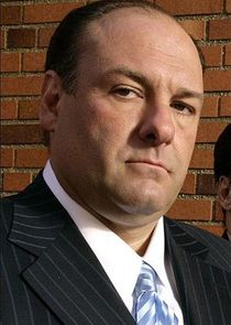 James Gandolfini
as Tony Soprano
