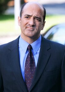 Matt Servitto
as Agent Dwight Harris