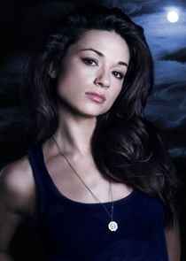 Crystal Reed
as Allison Argent