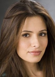 Sarah Shahi
as Carmen de la Pica Morales