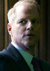 Noah Emmerich
as FBI Agent Stan Beeman