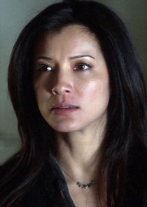 Kelly Hu
as Callie Cartwig