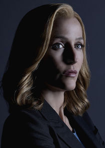 Gillian Anderson
as Special Agent Dana Scully