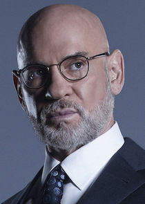 Mitch Pileggi
as Assistant Director Walter Skinner