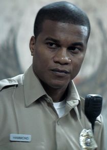 Cory Hardrict
as Cole Hammond