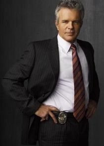 Tony Denison
as Detective Lt. Andy Flynn