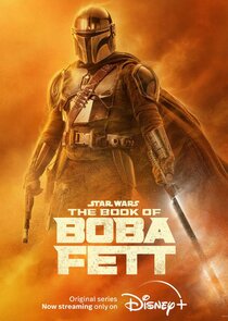 Pedro Pascal
as Mandalorian