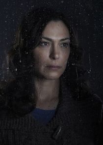 Michelle Forbes
as Mitch Larsen