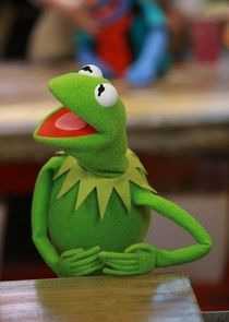 Steve Whitmire
as Kermit the Frog / Rizzo the Rat / Beaker / Statler