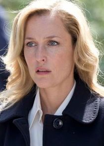Gillian Anderson
as Detective Superintendent Stella Gibson