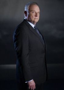 Bill Smitrovich
as Vice-President Raymond Jarvis