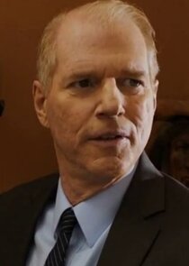 Noah Emmerich
as Leland Whitover
