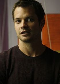 Timothy Olyphant
as Wes Krulik