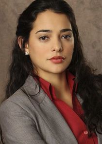 Natalie Martinez
as Det. Ariana Sanchez