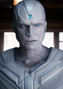 Paul Bettany
as The Vision