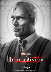 Paul Bettany
as Vision