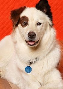 Stephen Full
as Stan