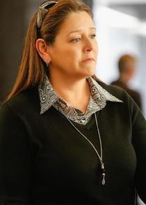 Camryn Manheim
as Sam Barton