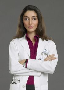 Necar Zadegan
as Gina Bandari