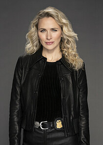 Shantel VanSanten
as Special Agent Nina Chase