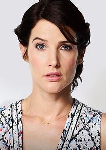 Cobie Smulders
as Lisa Turner