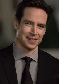 Sascha Radetsky
as Ross