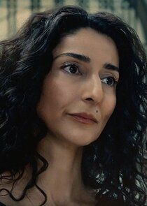 Necar Zadegan
as Assistant D.A. Evelyn Foley