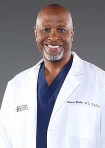 James Pickens, Jr.
as Dr. Richard Webber