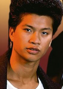 Dustin Nguyen
as Officer Harry Truman Ioki