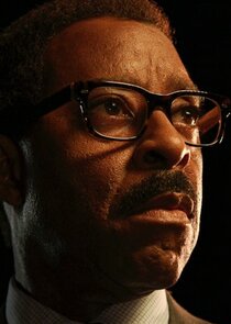 Courtney B. Vance
as Franklin Roberts