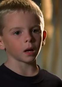 Nikolas Brino
as David Camden