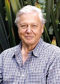 David Attenborough
as Narrator