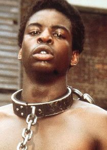 LeVar Burton
as Kunta Kinte