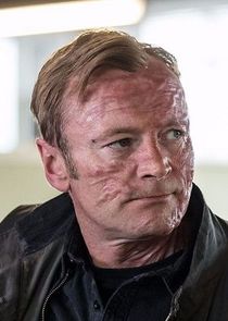 Richard Dormer
as DCI Gabriel Markham