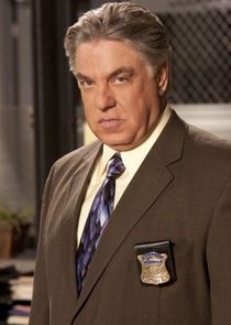 Bruce McGill
as Det. Vince Korsak
