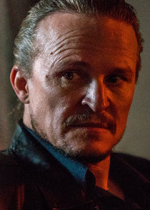 Damon Herriman
as Freddy Vellah