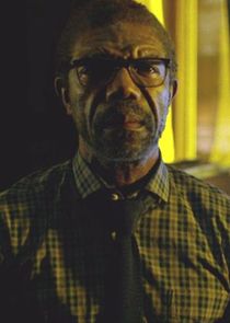 Vondie Curtis-Hall
as Ben Urich