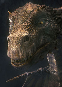 John Hurt
as The Great Dragon