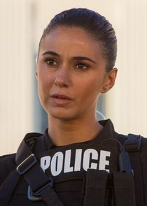 Emmanuelle Chriqui
as Raphaelle 