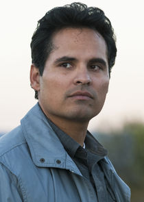 Michael Peña
as Enrique 
