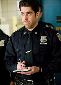 Adam Goldberg
as Ray 