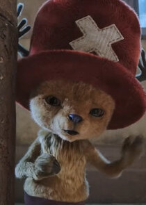 Mikaela Hoover
as Tony Tony Chopper