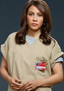 Elizabeth Rodriguez
as Aleida Diaz