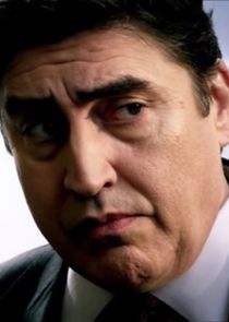 Alfred Molina
as Ricardo Morales