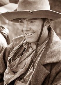 Rick Schroder
as Newt Dobbs