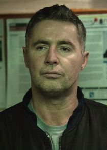 David O'Hara
as DSU George Stark