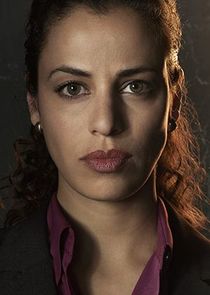 Athena Karkanis
as Dani Kahlil