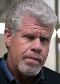 Ron Perlman
as Judge Pernell Harris