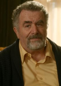 Saul Rubinek
as Murray Markowitz